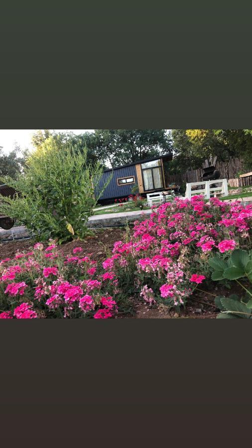 Hotel Tiny House Kayakoey Kumquat Zewnętrze zdjęcie